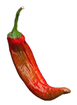 Red chili pepper